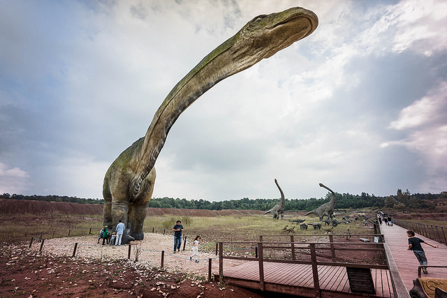 Zdjęcie nagłówkowe otwierające podstronę: Zjazd Europejskiego Stowarzyszenia Paleontologów Kręgowców